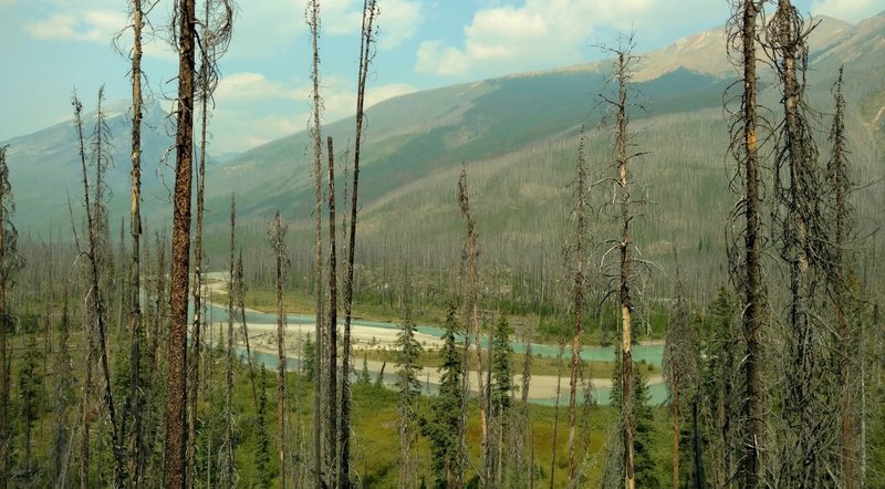 First views of Moose River and its rugged wilderness when coming from the highway and descending the ridge at the east end of Moose River Route.