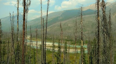 First views of Moose River and its rugged wilderness when coming from the highway and descending the ridge at the east end of Moose River Route.