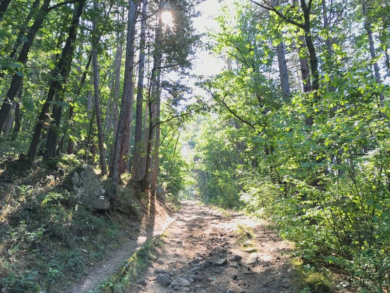 Facing east on trail