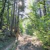 Facing east on trail