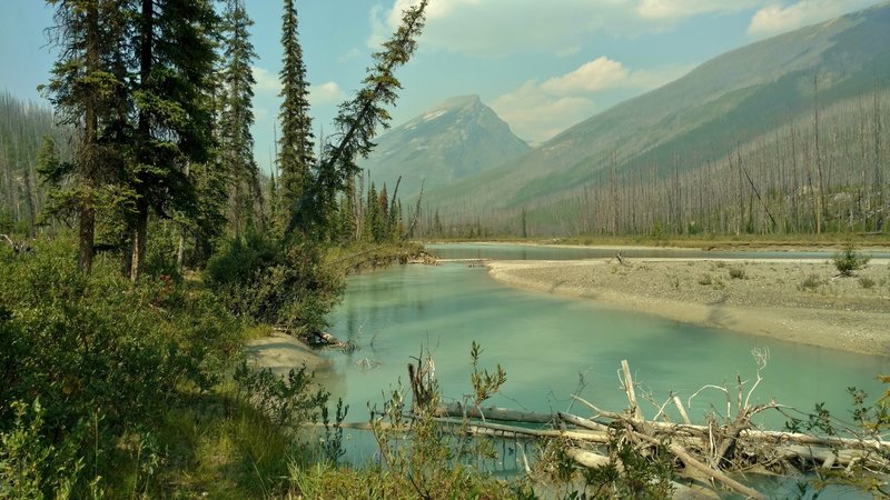 The beautiful Moose River in its wild mountain wilderness.