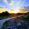 Sunrise at Wetlands