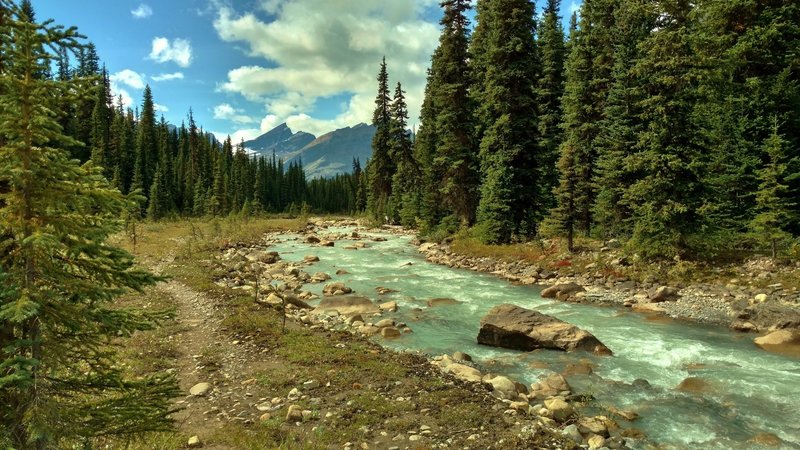 Calumet Creek. The trail runs along the creek after crossing the large open, flat, wet meadow to the west.