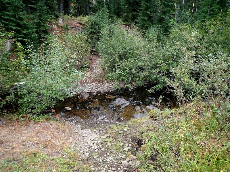 Where the trail crosses Muir Creek