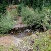 Where the trail crosses Muir Creek