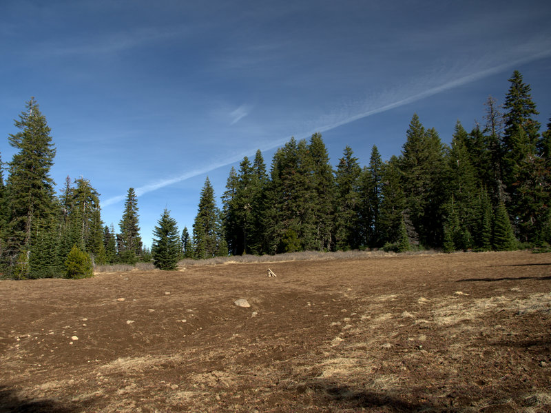 Open ground and faint trail north of Abbott Butte.