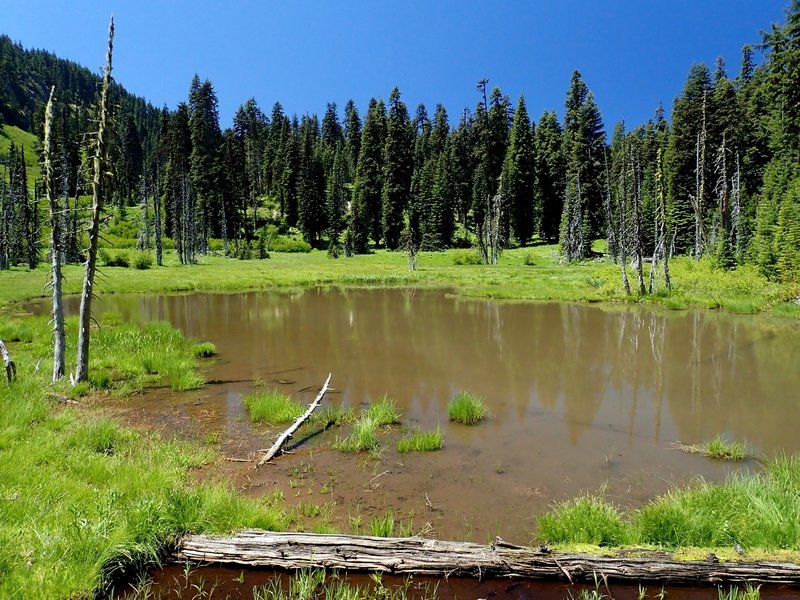 The pond at the base of Elephant Head