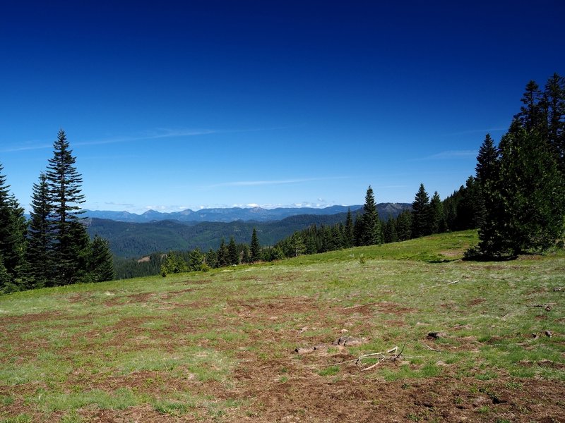 The view from the meadow on Anderson Mountain