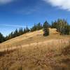 A meadow along the Divide Trail