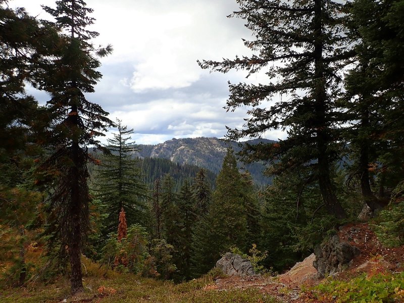 Jackass Mountain from the Divide Trail on Fish Mountain