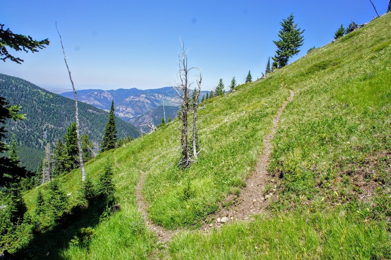 The trail winds up the steep meadow