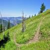 The trail winds up the steep meadow