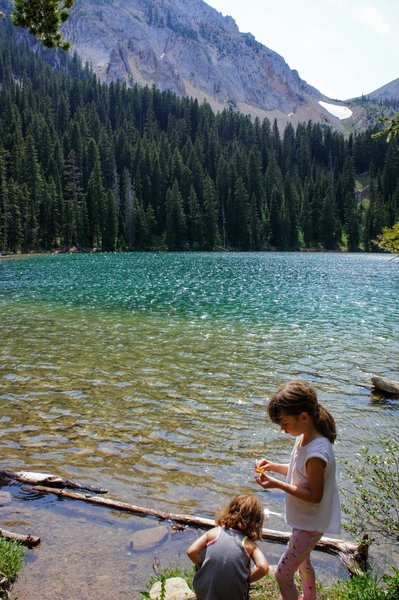 Playing in the clear waters along the lake