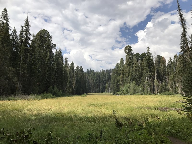 Crescent Meadow, Sequoia National Park