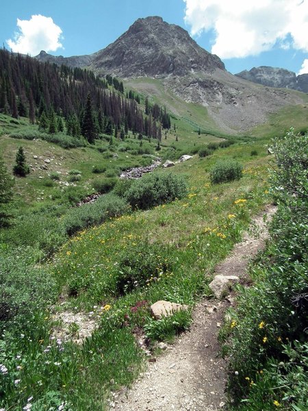 Grizzly Gulch trail follows Grizzly Creek all the way up to the north ridge of Handies Peak.