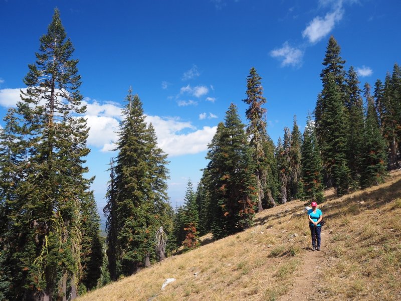 On the trail below Telephone Lake