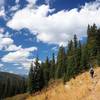 One of the few views from the Fox Creek Ridge Trail