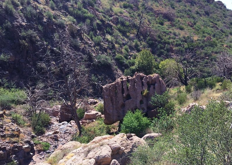 One of many fascinating rock formations along the Little Saddle Mt. Trail.