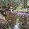 one of the many stream crossings