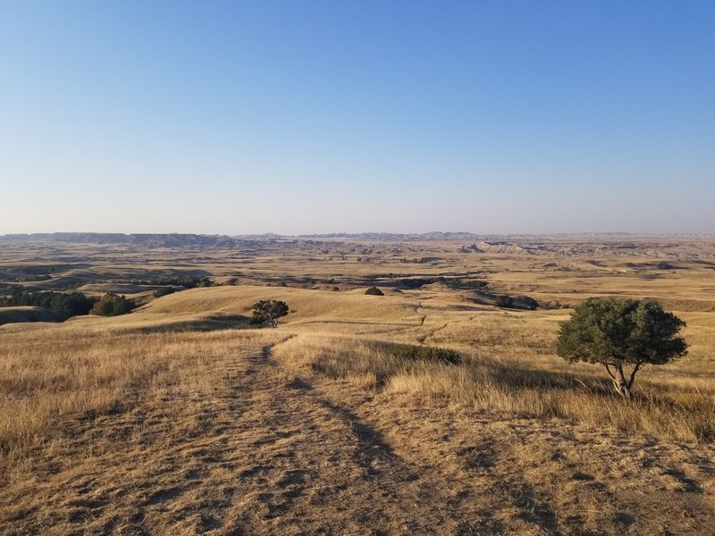 Sage Creek Basin from Roberts Prairie Dog Town (with dozens of bison off in the distance)