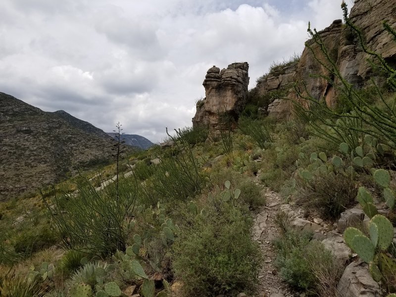 Northbound on the Permian Reef Trail, about half a mile from the visitor center