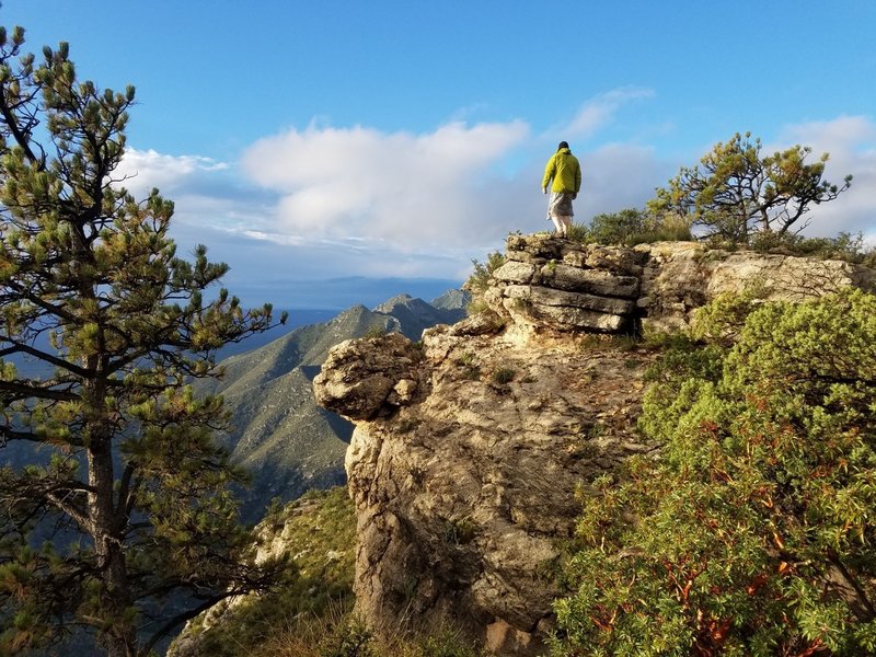 Off trail, admiring the view of McKittrick Canyon after the rain