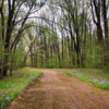 Bike path near Woodland Trail (red loop)