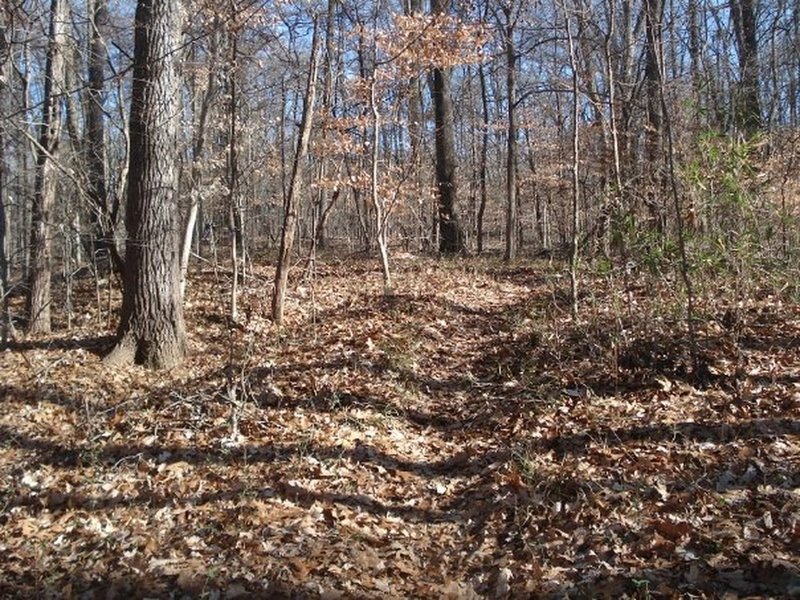 Woodland Trail (red loop)