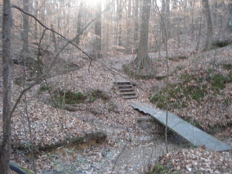 Woodland Trail (red loop)