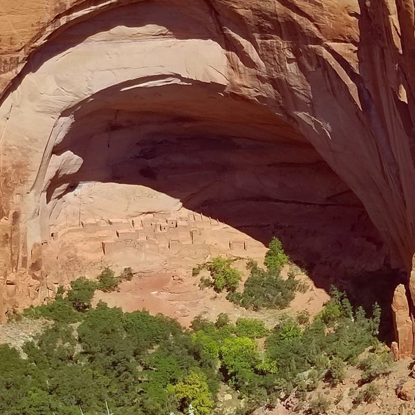 The Betatakin Cliff Dwellings.