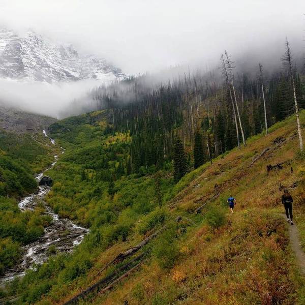 Fall colours on the trail up to Floe Lake.