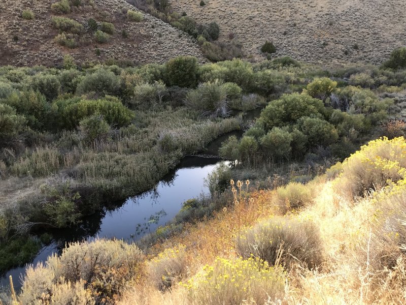 Some impressive beaver ponds visible from the Third Fork Rock Creek Trail.