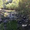 A nice stream flows along the Second Fork Rock Creek Trail.