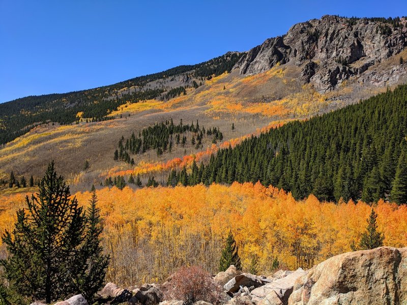 Aspen fall colors, 3 miles up the trail.