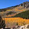 Aspen fall colors, 3 miles up the trail.