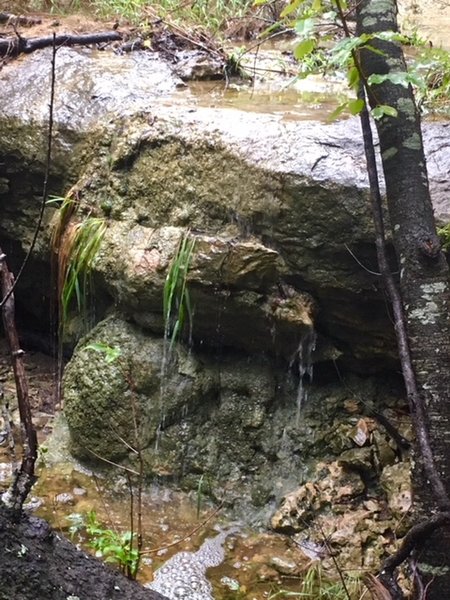 Small waterfall off a creek running parallel to the Goodwater Loop trail. You have to walk a bit off trail to get to it.