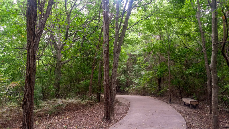 A comfortable bench neatly placed in the forest adorns the trail.