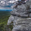 MT Laurel Tail, Cheaha