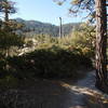 Twin Peaks Saddle Trail on the descent from Mt. Waterman.