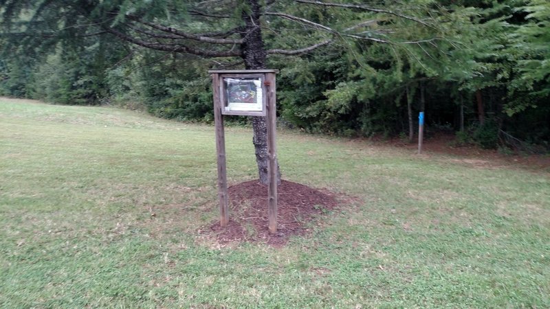 Exit of ICC Trail System - Blue Trail West and start of Trail Loop Extension