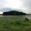 Island covered with birds