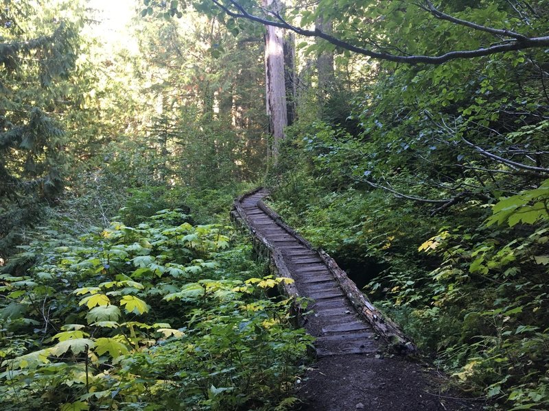 Boardwalk on the Pratt Lake Trail