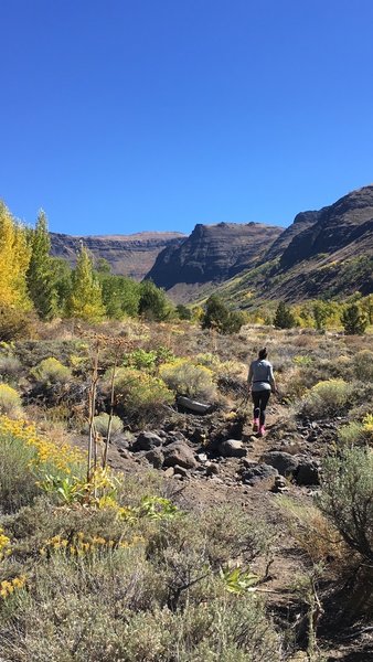 Walking toward the face of Big India Gorge in the fall.