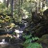 The slippery crossing at the Pratt River on the Kaleetan Lake Trail.