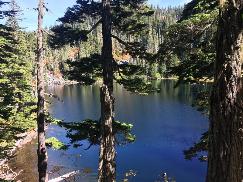 Overlooking Windy Lake.