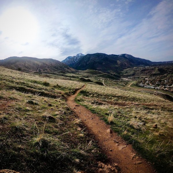 View looking back toward Mt Ogden.