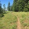 Tiger Ridge Trail above the treeline.