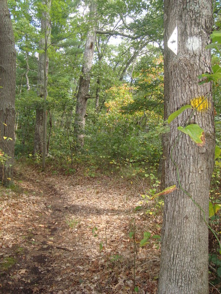 Beautiful fall day on the Wakazoo Trail