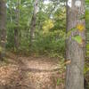 Beautiful fall day on the Wakazoo Trail