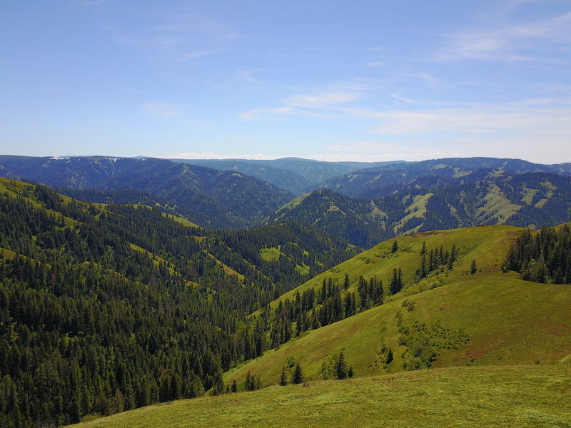 View to the SW into the North Fork Umatilla Wilderness